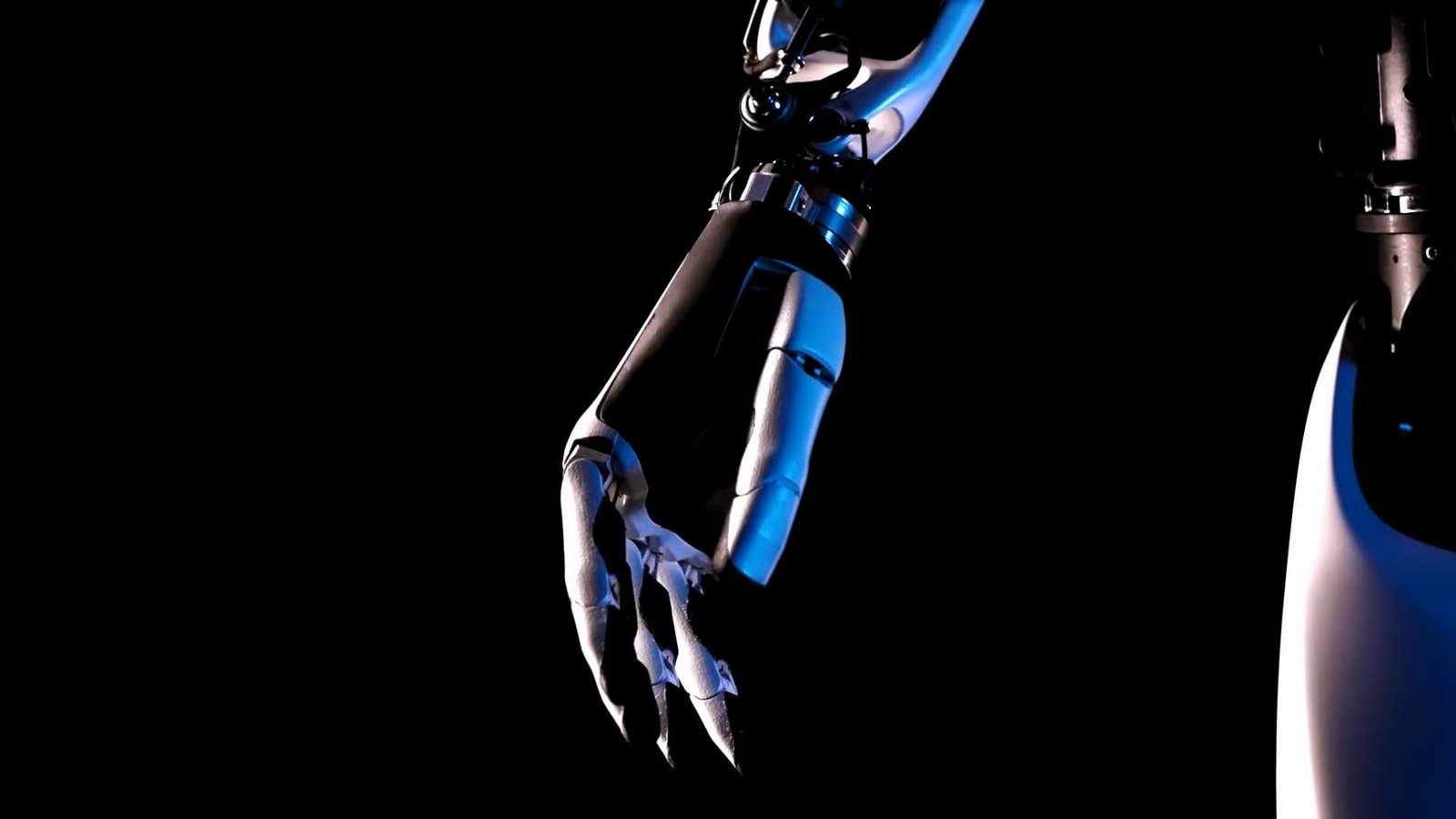 Hand Tesla Optimus Robot