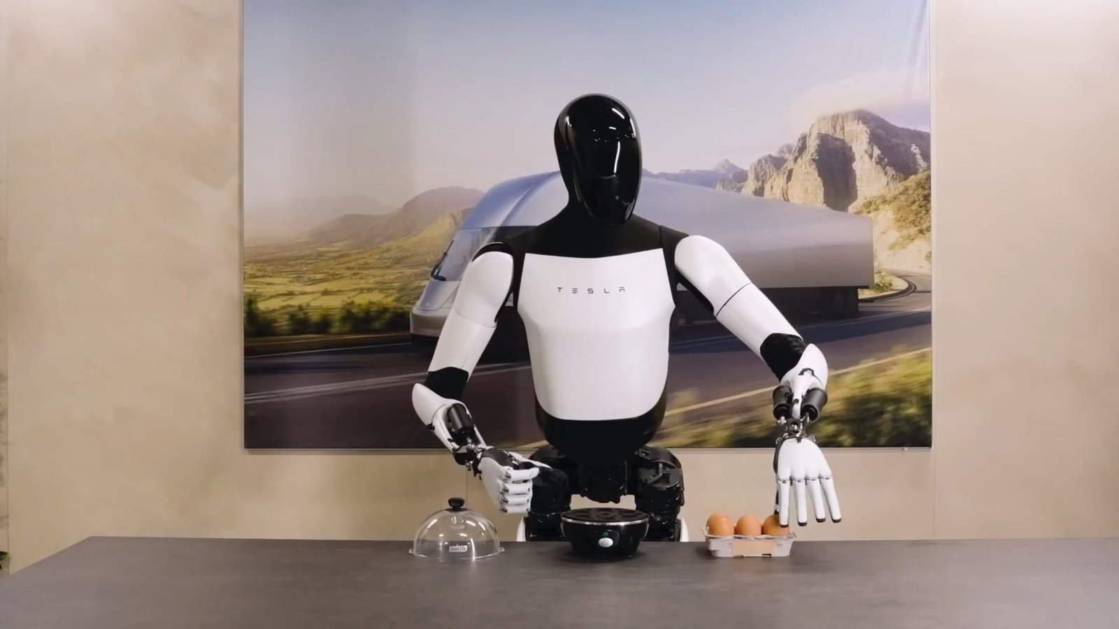 Work Tesla Optimus Robot