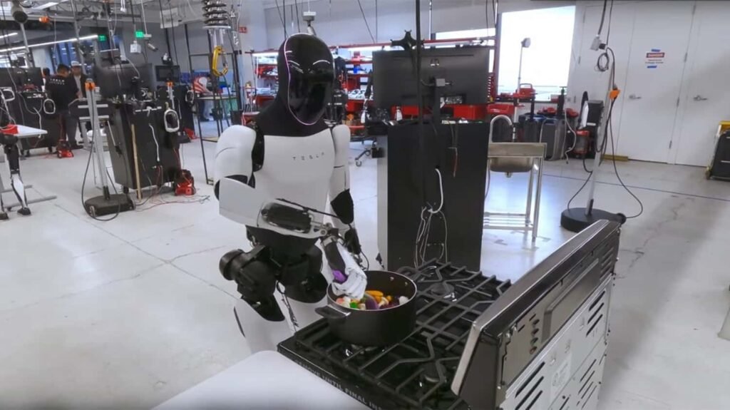 Cooking Tesla Optimus Robot