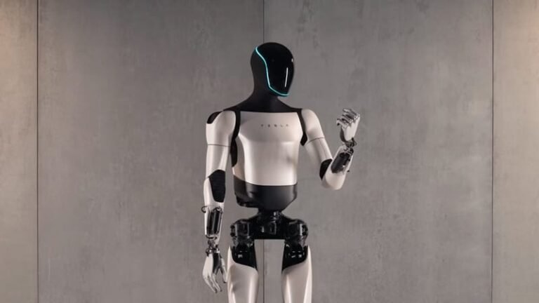 Tesla Optimus Robot Feature