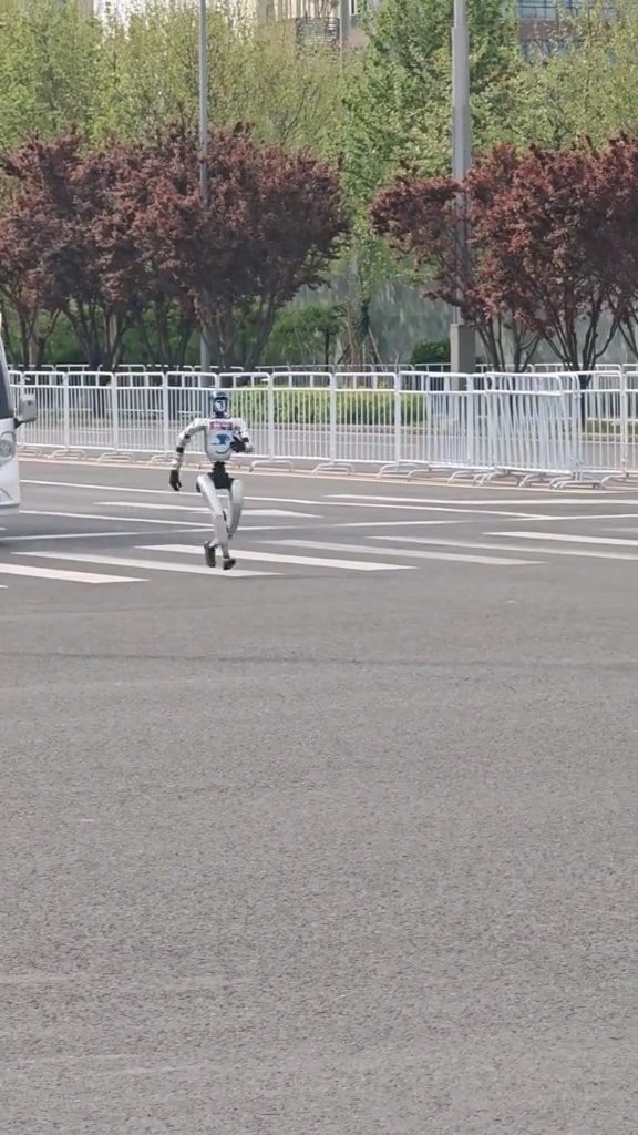 Participants 2026 Humanoid Robot Half Marathon (14)