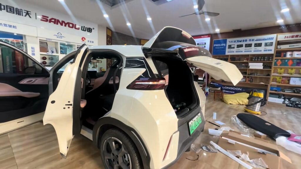 Doors BYD Seagull 2026