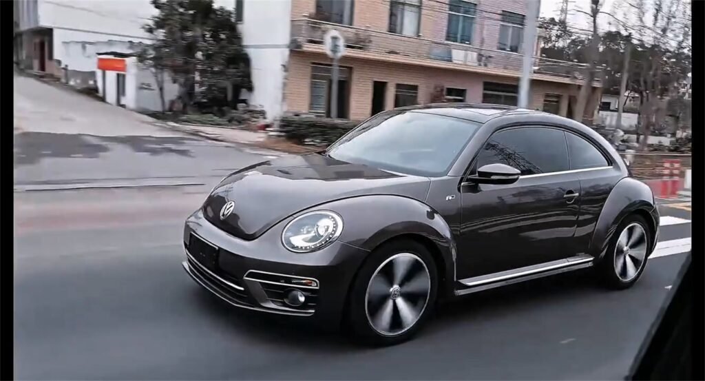 The Beetle (1)